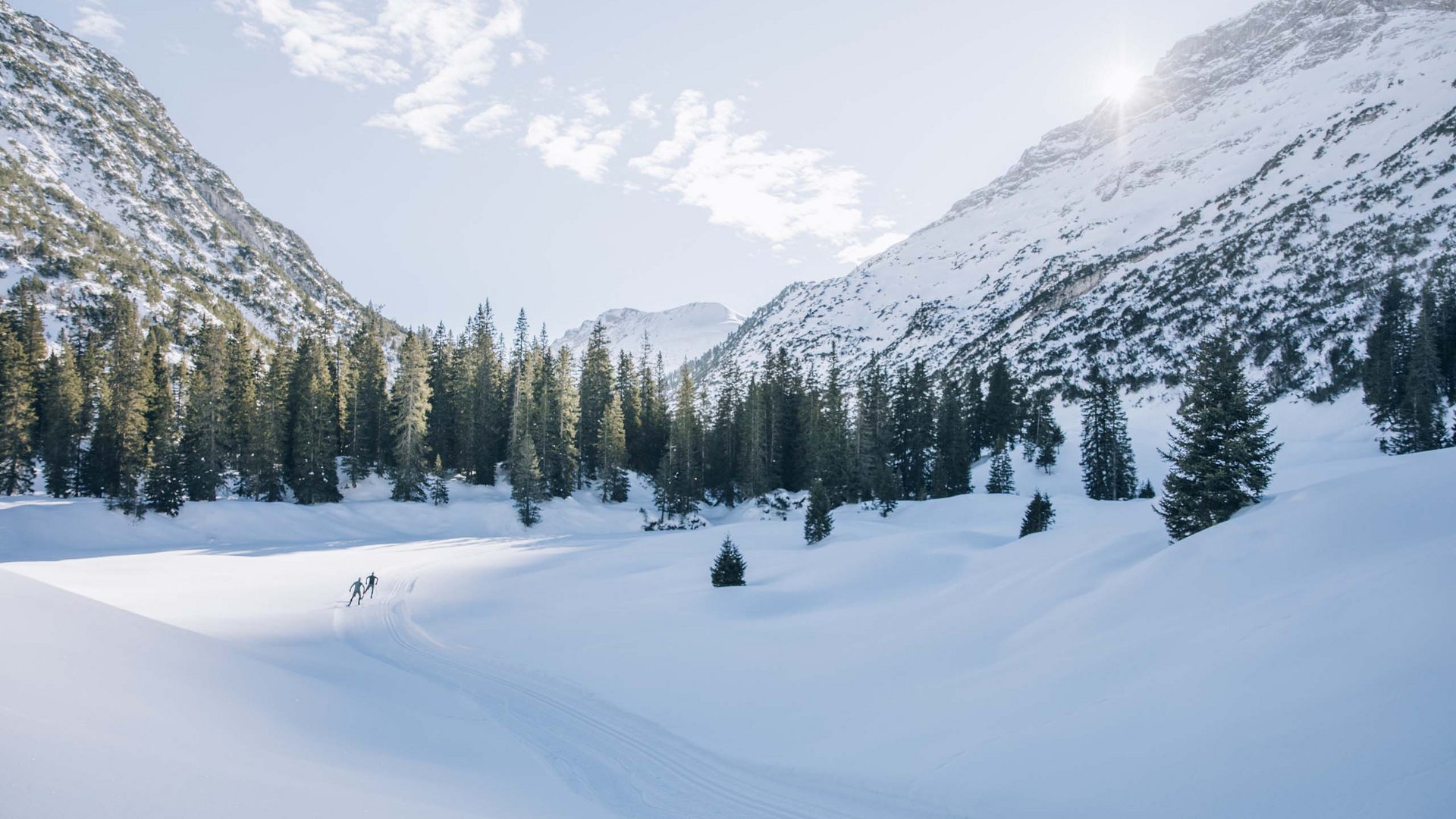 Zwei Skifahrer in verschneiter Berglandschaft mit Tannen und sonnigem Himmel