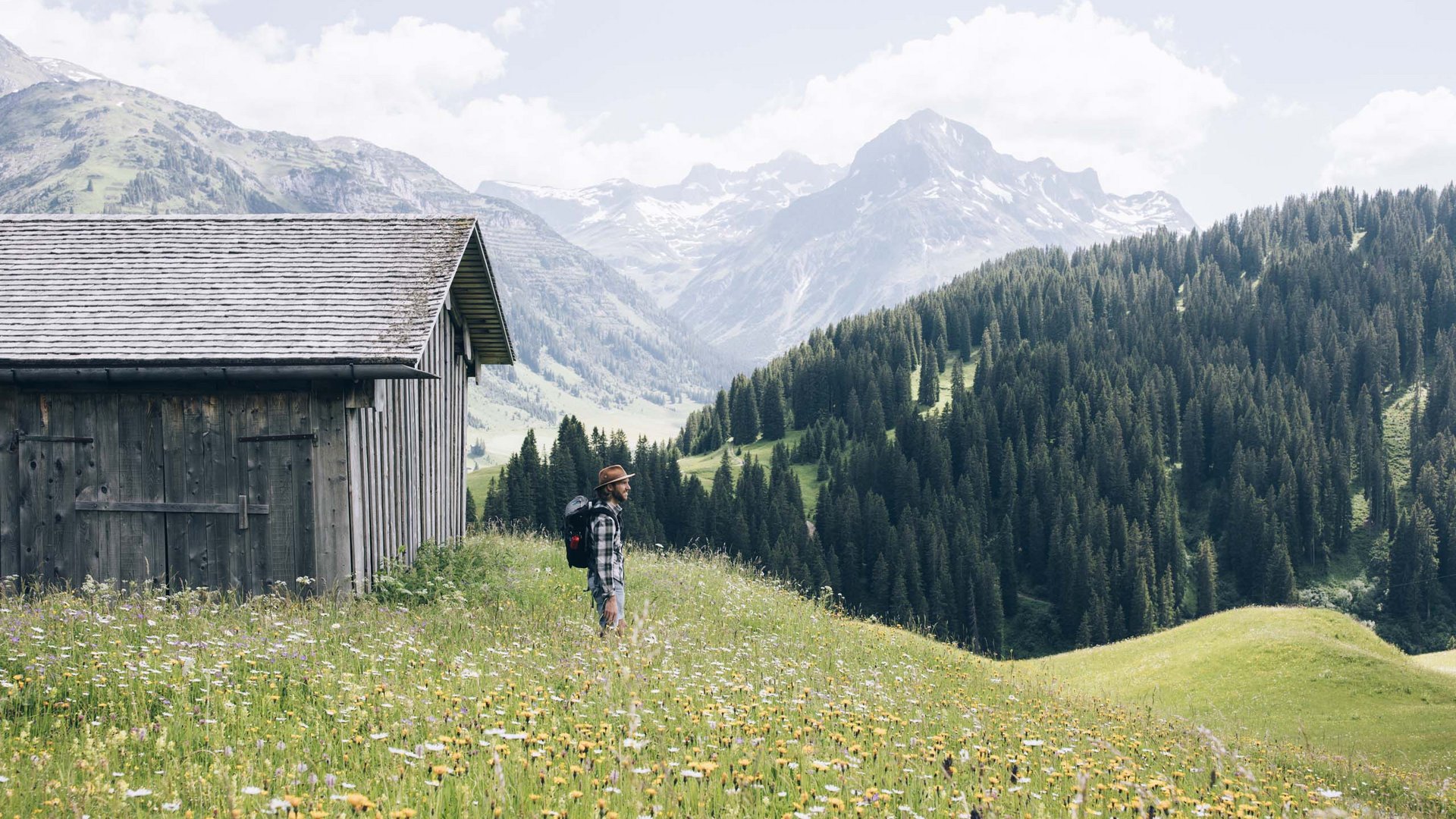 Wanderer neben Holzhütte auf blühender Alm mit Bergen im Hintergrund